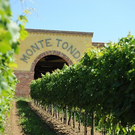 Monte Tondo Winery Guest House Soave  Exterior photo