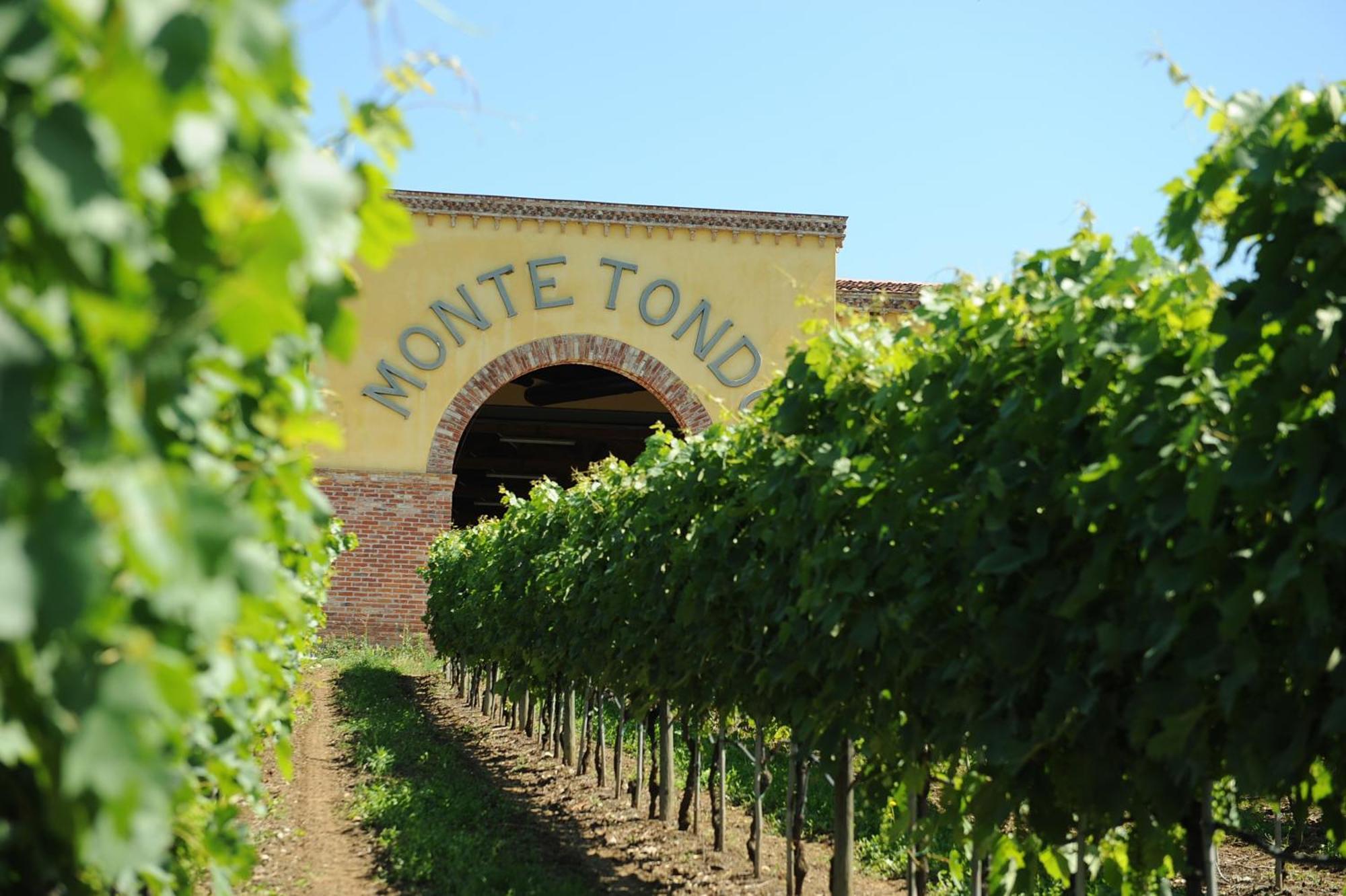Monte Tondo Winery Guest House Soave  Exterior photo